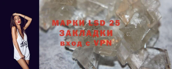Альфа ПВП Аркадак