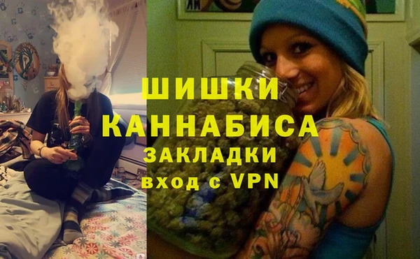 Альфа ПВП Аркадак