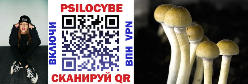 Купить закладки  Касли  Галлюциногенные грибы мицелий 